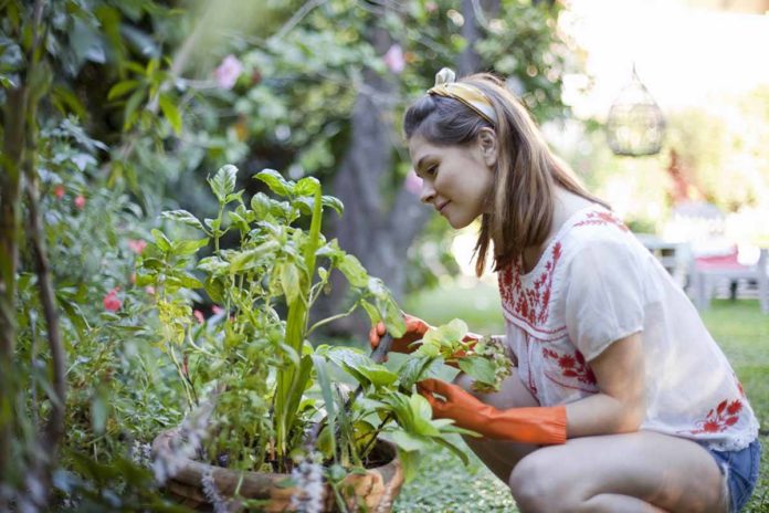 woman-gardening